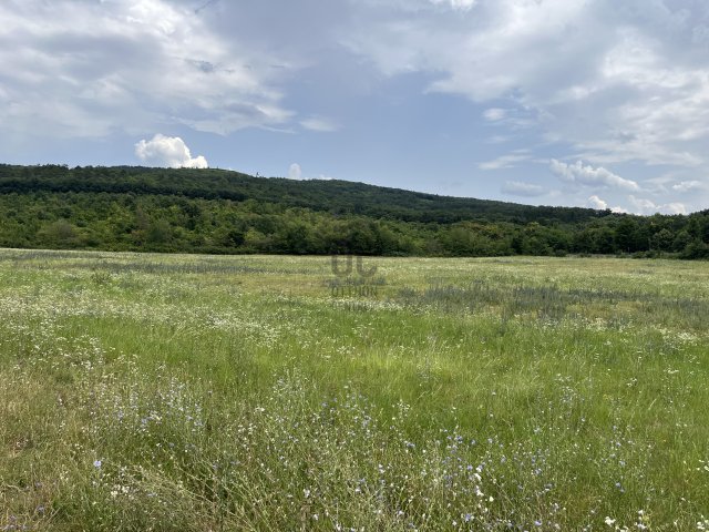 Eladó telek, Budajenőn 766.422 M Ft / költözzbe.hu