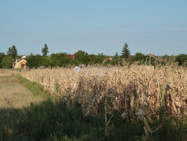 Eladó telek, Baracskán 19.2 M Ft / költözzbe.hu