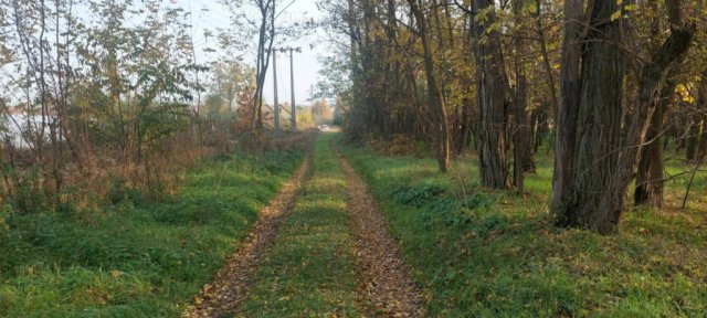 Eladó telek, Pusztavacson 8.5 M Ft / költözzbe.hu