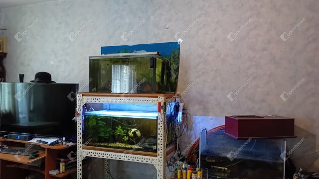Eladó panellakás, Miskolcon 17.5 M Ft, 2 szobás