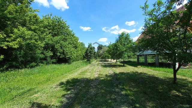 Eladó telek, Tiszacsegén 3.4 M Ft / költözzbe.hu