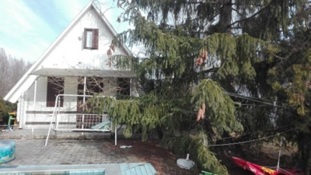 Eladó mezogazdasagi ingatlan, Pakson 26 M Ft / költözzbe.hu
