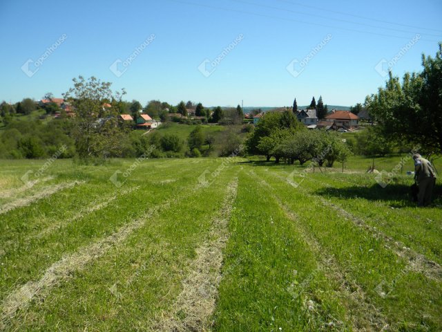 Eladó telek, Zalaegerszegen 3.1 M Ft / költözzbe.hu