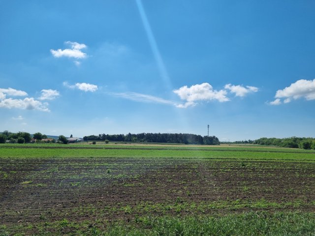 Eladó telek, Pátkán 13.9 M Ft / költözzbe.hu