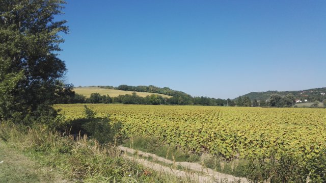 Eladó telek, Bicskén 1.8 M Ft / költözzbe.hu