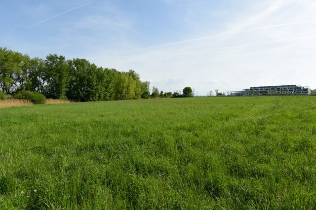 Eladó telek, Alsóörsön 18.9 M Ft / költözzbe.hu