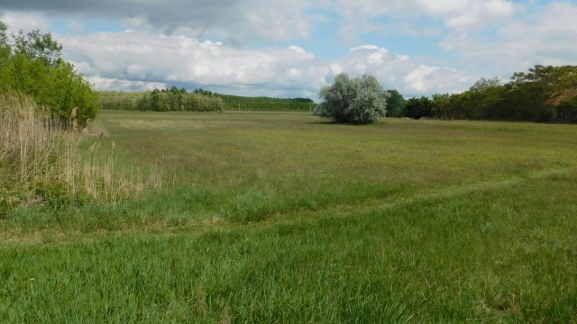 Eladó mezogazdasagi ingatlan, Szegeden, Külterület 18 M Ft