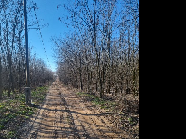 Eladó telek, Debrecenben 600 M Ft / költözzbe.hu