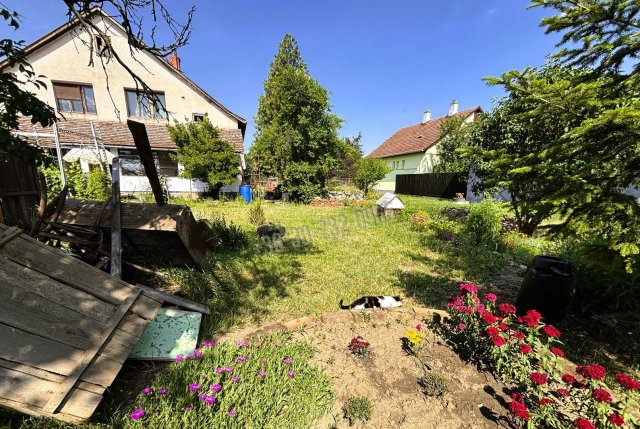 Eladó családi ház, Gyomaendrődön 33 M Ft, 4 szobás