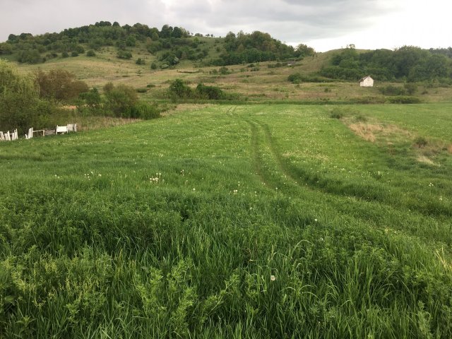 Eladó telek, Varbón 6 M Ft / költözzbe.hu