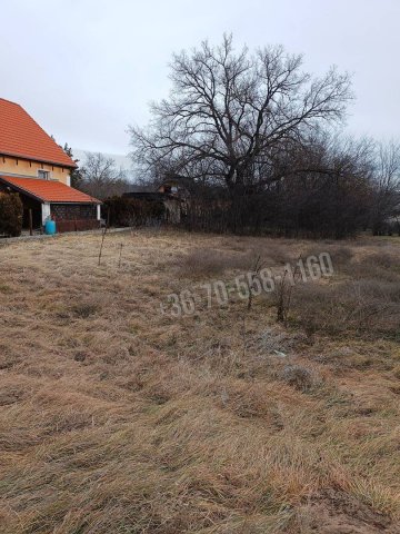 Eladó telek, Őrbottyánban 120 M Ft / költözzbe.hu