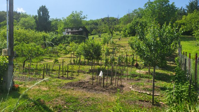 Eladó mezogazdasagi ingatlan, Egerben 12 M Ft, 1 szobás