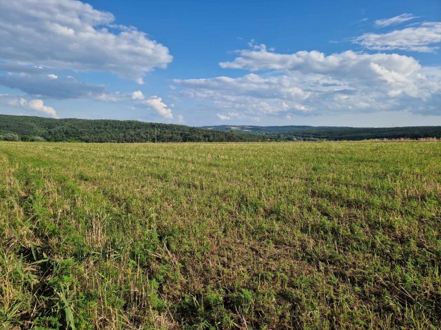 Eladó telek, Isaszegen 13.5 M Ft / költözzbe.hu