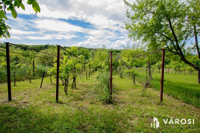 Eladó mezogazdasagi ingatlan, Lentiben 2.9 M Ft