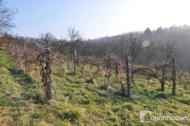 Eladó telek, Zalaegerszegen 0.99 M Ft / költözzbe.hu