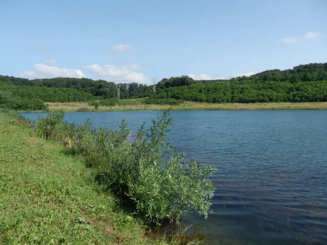 Eladó telek, Pécsett 250 M Ft / költözzbe.hu