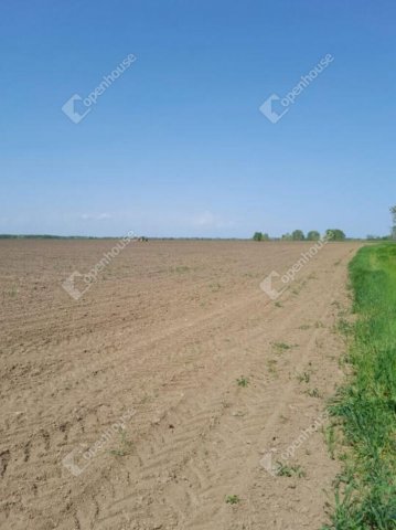 Eladó mezogazdasagi ingatlan, Tiszabőn 23.9 M Ft