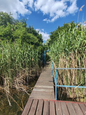 Eladó nyaraló, Szolnokon 35 M Ft, 2 szobás / költözzbe.hu