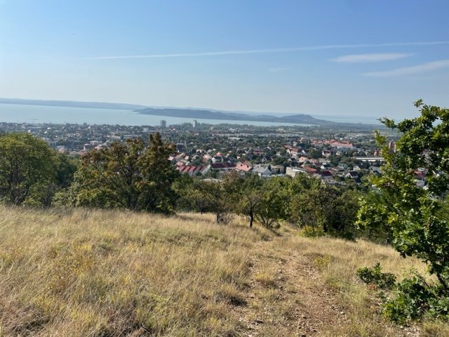 Eladó mezogazdasagi ingatlan, Balatonfüreden 3.95 M Ft