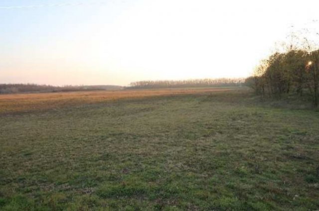Eladó ipari ingatlan, Kerekegyházán 1700 M Ft