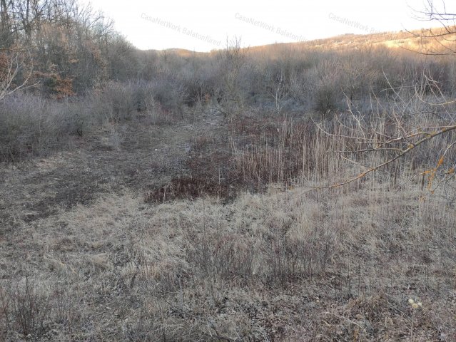 Eladó mezogazdasagi ingatlan, Balatonszőlősön 24.9 M Ft