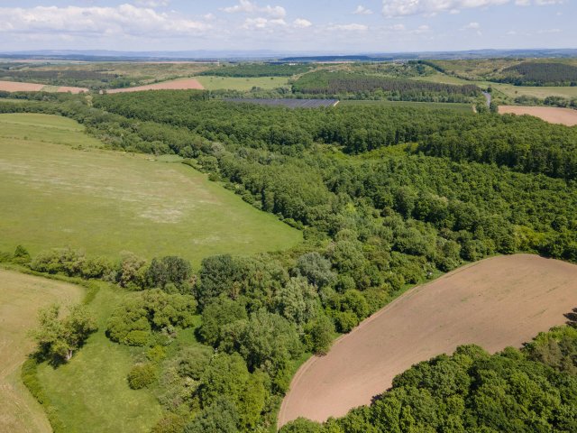 Eladó mezogazdasagi ingatlan, Nógrádon 30.9 M Ft