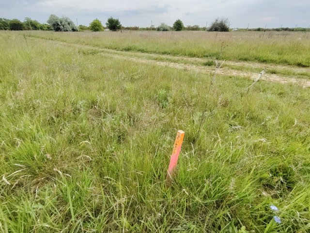 Eladó telek, Szigetszentmiklóson 10 M Ft / költözzbe.hu