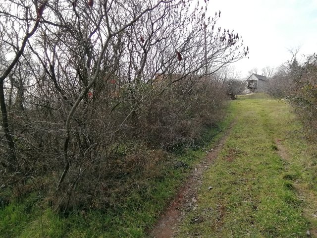 Eladó telek, Pécsett 2.9 M Ft / költözzbe.hu