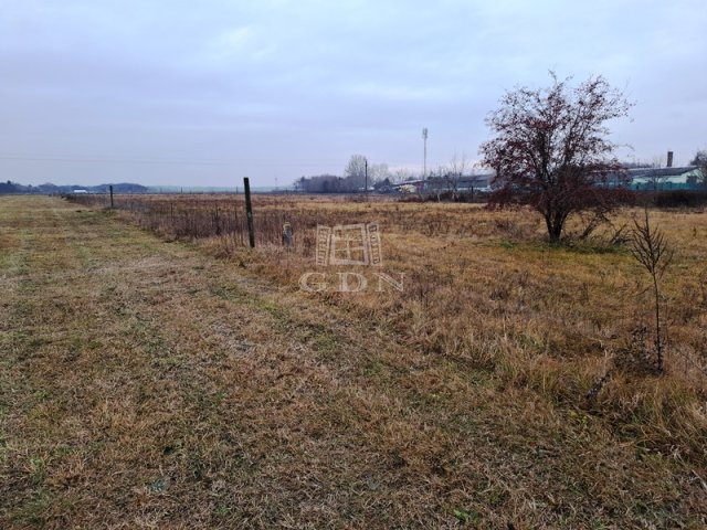 Eladó telek, Tökölön 9.5 M Ft / költözzbe.hu