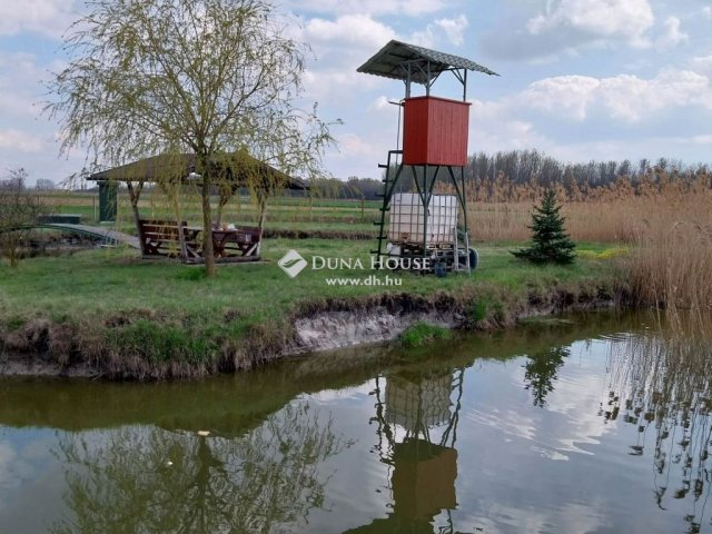 Eladó telek, Kiskunmajsán 15.9 M Ft / költözzbe.hu