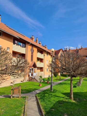 Eladó téglalakás, Sásdon 15.9 M Ft, 2 szobás