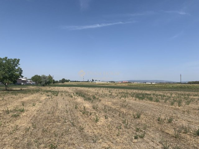 Eladó ipari ingatlan, Szigetszentmiklóson 210 M Ft