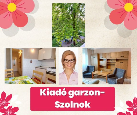 Kiadó panellakás, albérlet, Szolnokon 100 E Ft / hó, 1 szobás