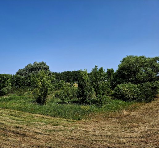 Eladó telek, Rábapatonán 8.4 M Ft / költözzbe.hu