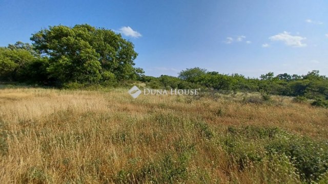 Eladó mezogazdasagi ingatlan, Balatonudvariban 4.9 M Ft