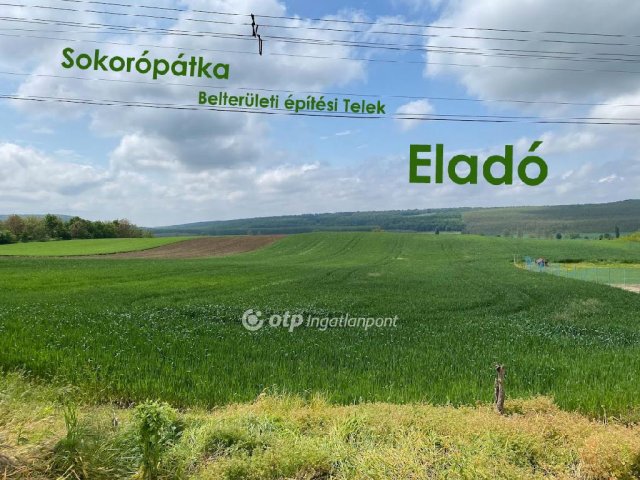 Eladó telek, Sokorópátkán 8.5 M Ft / költözzbe.hu