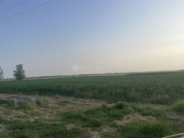 Eladó családi ház, Kunszentmiklóson 195 M Ft, 1 szobás