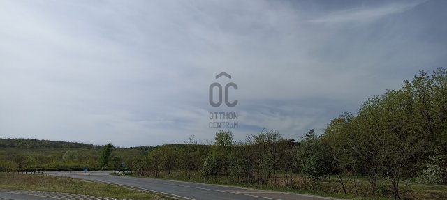 Eladó mezogazdasagi ingatlan, Kerepesen 39 M Ft