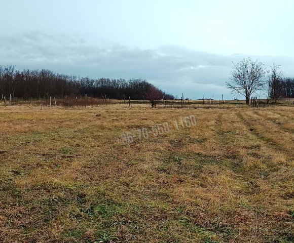 Eladó telek, Őrbottyánban 10 M Ft / költözzbe.hu