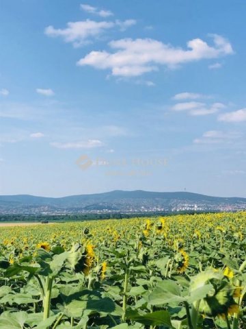 Eladó családi ház, Gyódon 31.9 M Ft, 3 szobás