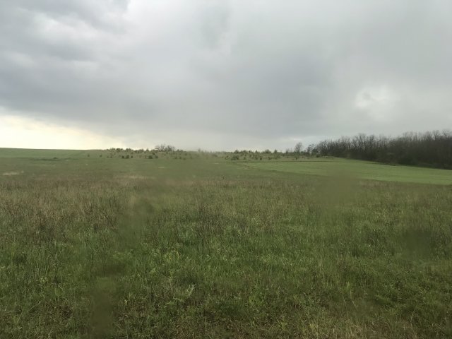 Eladó mezogazdasagi ingatlan, Isaszegen 11.9 M Ft