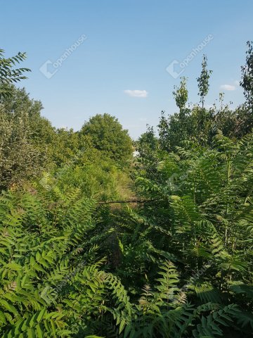 Eladó telek, Szegeden 23.5 M Ft / költözzbe.hu