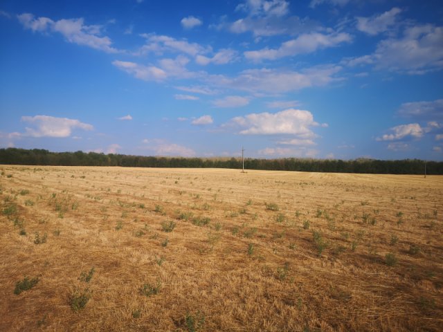 Eladó telek, Gyömrőn 150 M Ft / költözzbe.hu