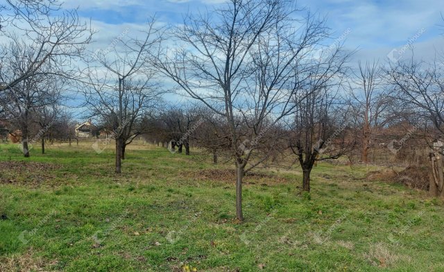 Eladó telek, Gyomaendrődön 3.5 M Ft / költözzbe.hu