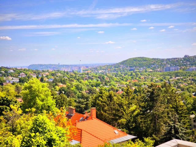 Eladó családi ház, Budapesten, II. kerületben 800 M Ft, 1 szobás