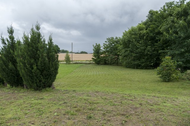 Kiadó családi ház, albérlet, Kecskeméten 550 E Ft / hó