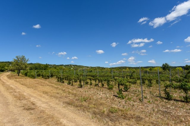 Eladó telek, Vászolyon 42 M Ft / költözzbe.hu