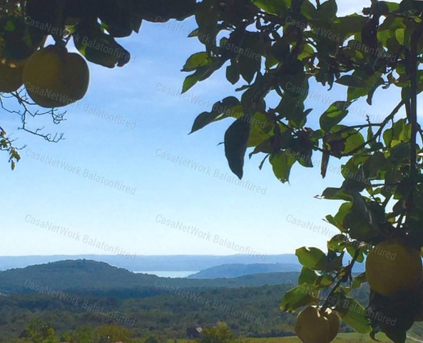 Eladó ipari ingatlan, Balatonszőlősön 56 M Ft, 2 szobás