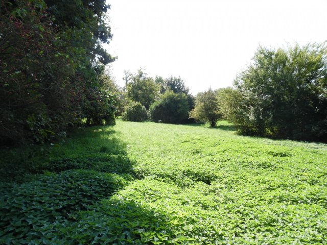 Eladó telek, Zalaegerszegen, Gébárti úton 18.9 M Ft