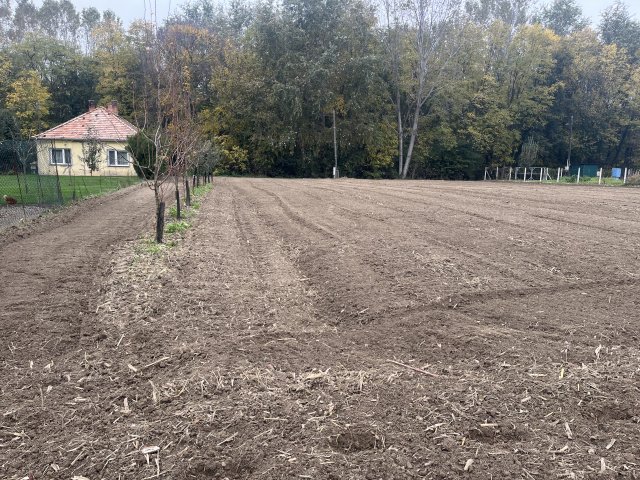 Eladó telek, Dunaszigeten 20 M Ft / költözzbe.hu